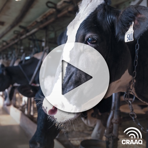 [PVIN0444] Hypocalcémie subclinique : notre compréhension d’hier à aujourd’hui (VF)