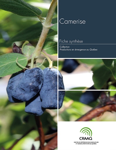 [PERA0102-19PDF] Fiche synthèse - Camerise (PDF)