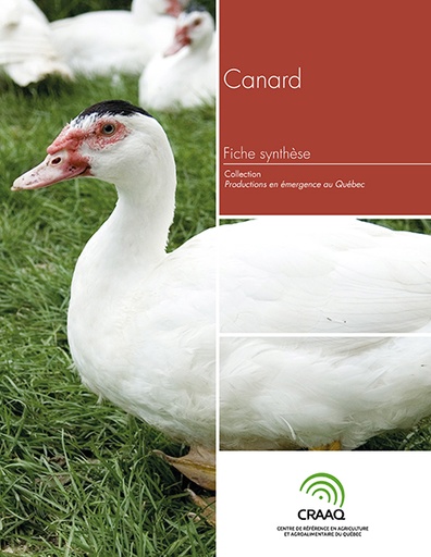 [PERA0104-04PDF] Fiche synthèse - Canard (PDF)