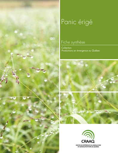 [PERA0104-11PDF] Fiche synthèse - Panic érigé (PDF)