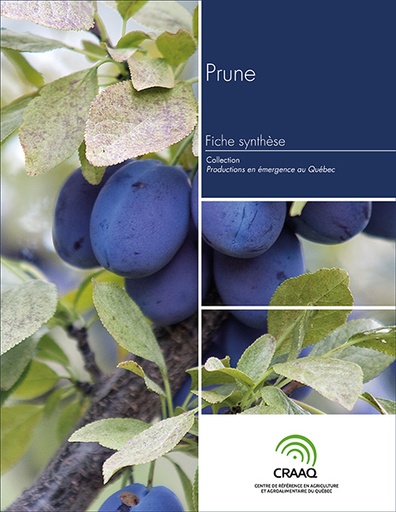 [PERA0104-16PDF] Fiche synthèse - Prune (PDF)