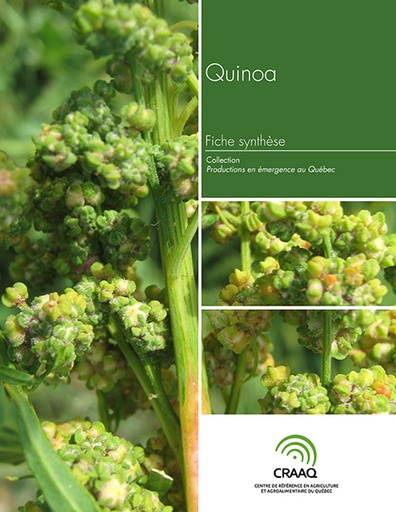 [PERA0104-17PDF] Fiche synthèse - Quinoa (PDF)