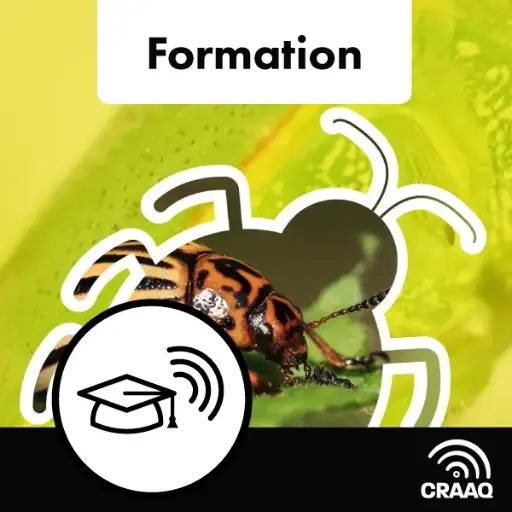 [OWFPHY0102] Formation - La résistance des arthropodes aux insecticides et acaricides