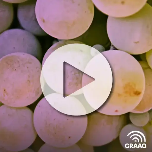 [PVIN0460] Comprendre le mode d'action des biofongicides pour mieux les utiliser