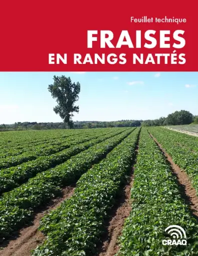 [PTF003PUB-01PDF] Feuillet technique : Fraises en rangs nattés (PDF)