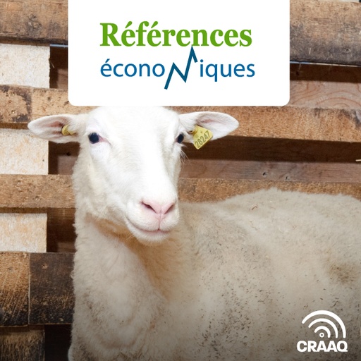 [PREF0224-2026] Ovins - Agneaux de marché - Brebis hybrides prolifiques et béliers terminaux - Budget d’entreprise - 2026